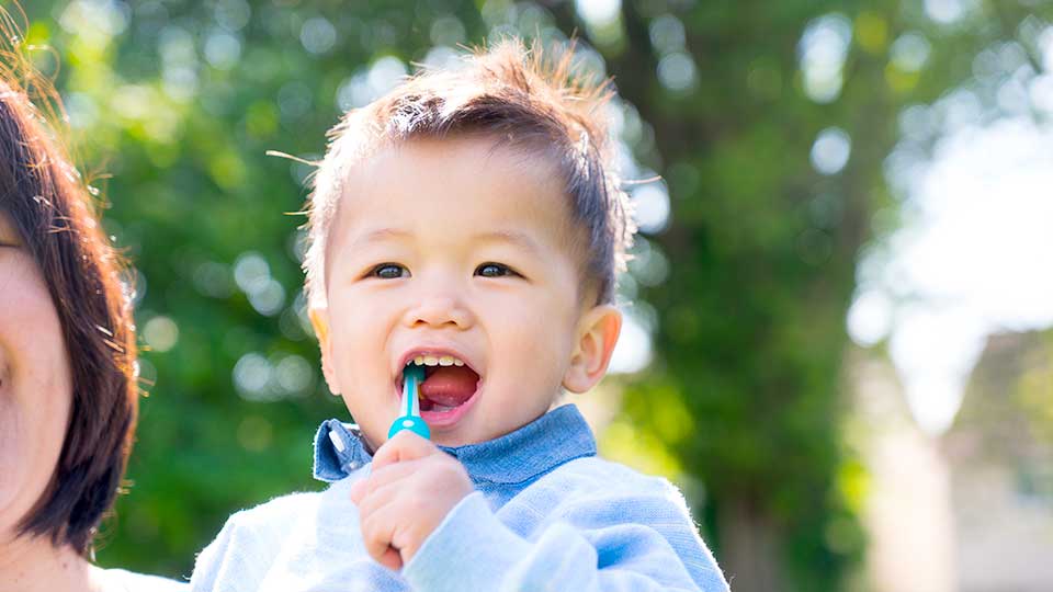 Baby dental care cheap