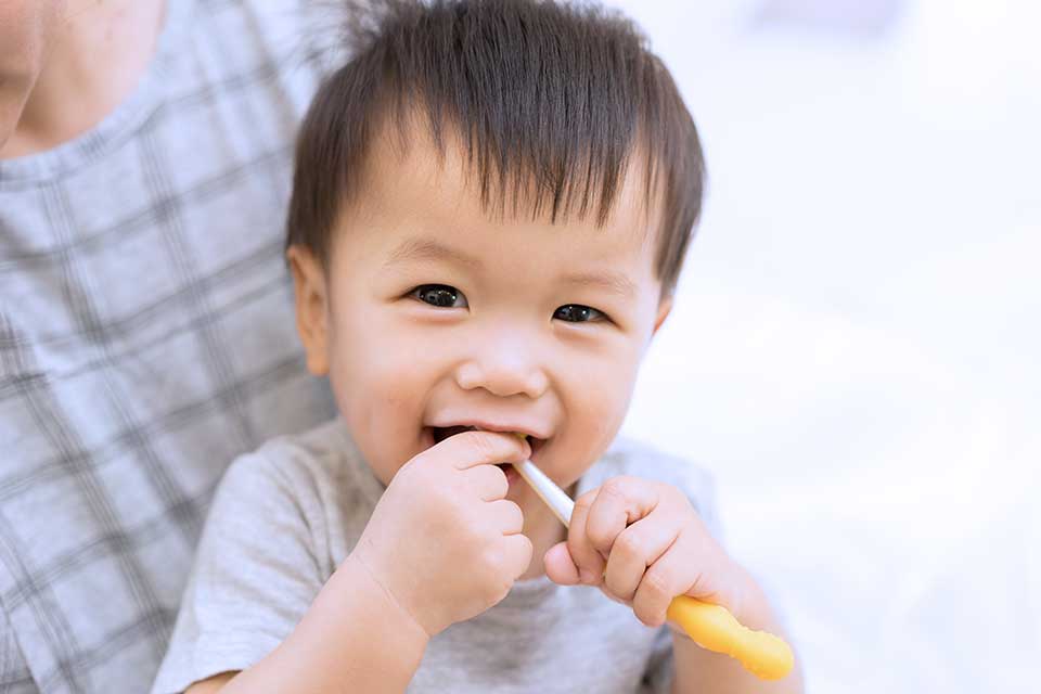 First Dental Visit