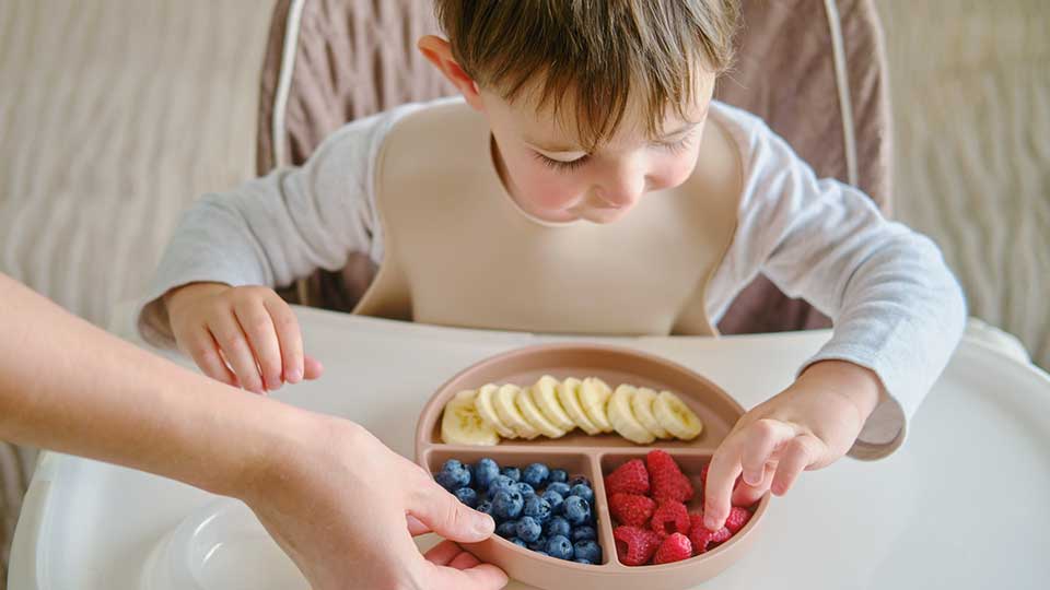 little boy eating healthy snacks 